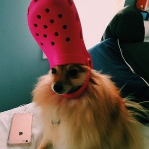 Meet your Posher, Kaitlyn